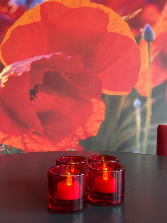 Achterhoeks Goed, Bed & Breakfast In Vragender Esterno foto